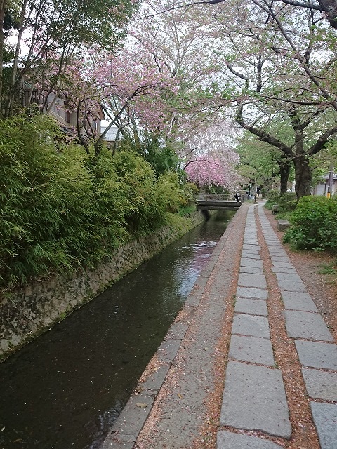 でも人も少なく静かに散策を楽しめました、また来年は見に行けたらいいな～。