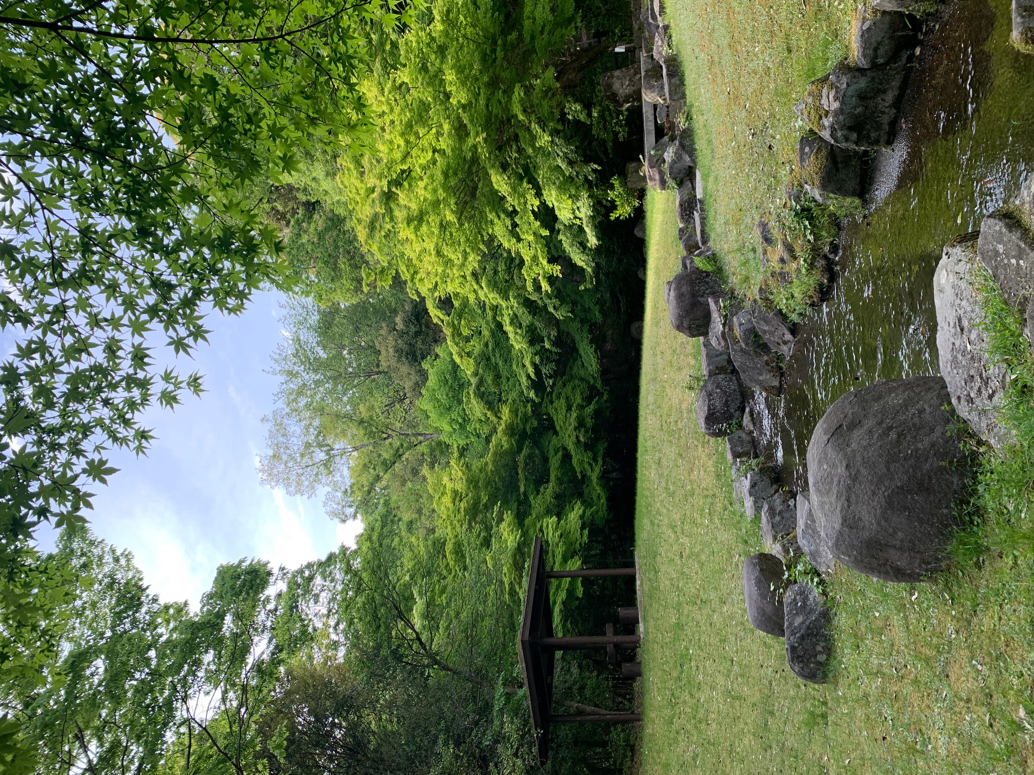 いつもの近所のお散歩コース野鳥遊園。